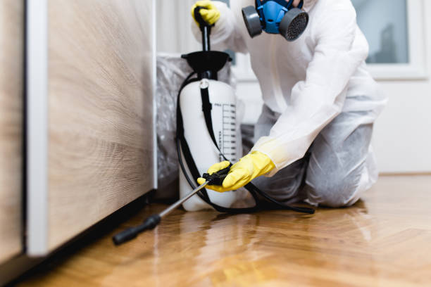 Pest Control for Restaurants in Cross City, FL