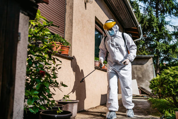Best Pest Removal Services  in Cross City, FL