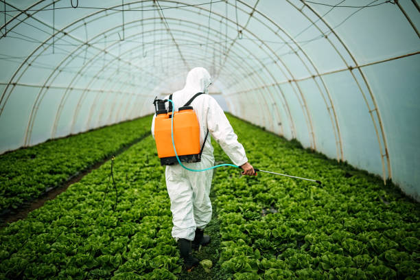 Professional Pest Control in Cross City, FL