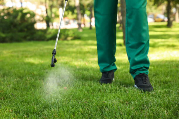 Best Cockroach Control Services  in Cross City, FL