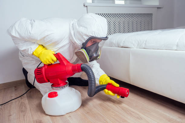 Reliable Cross City, FL Pest Control Solutions