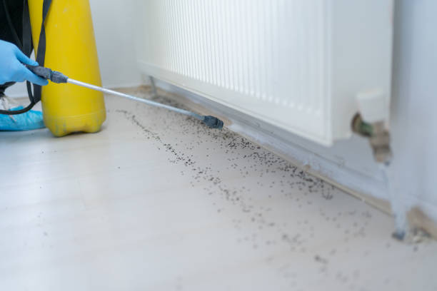 Best Pest Control for Businesses  in Cross City, FL