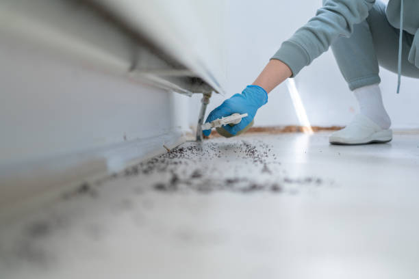 Best Best Pest Control Companies  in Cross City, FL