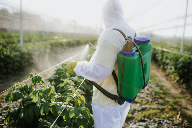 Pest Control for Restaurants in Cross City, FL